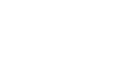 Vivid Capital Management
